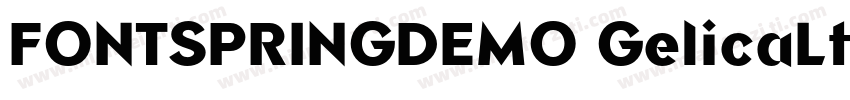 FONTSPRINGDEMO GelicaLtLightItalic字体转换